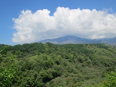 八ヶ岳高原の画像その1