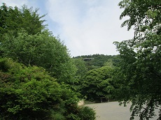 八ヶ岳高原の風景その3